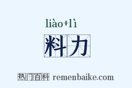 料力是什么意思的图片